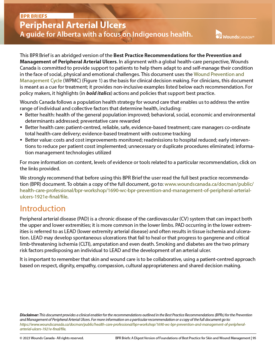 Peripheral Arterial Ulcers