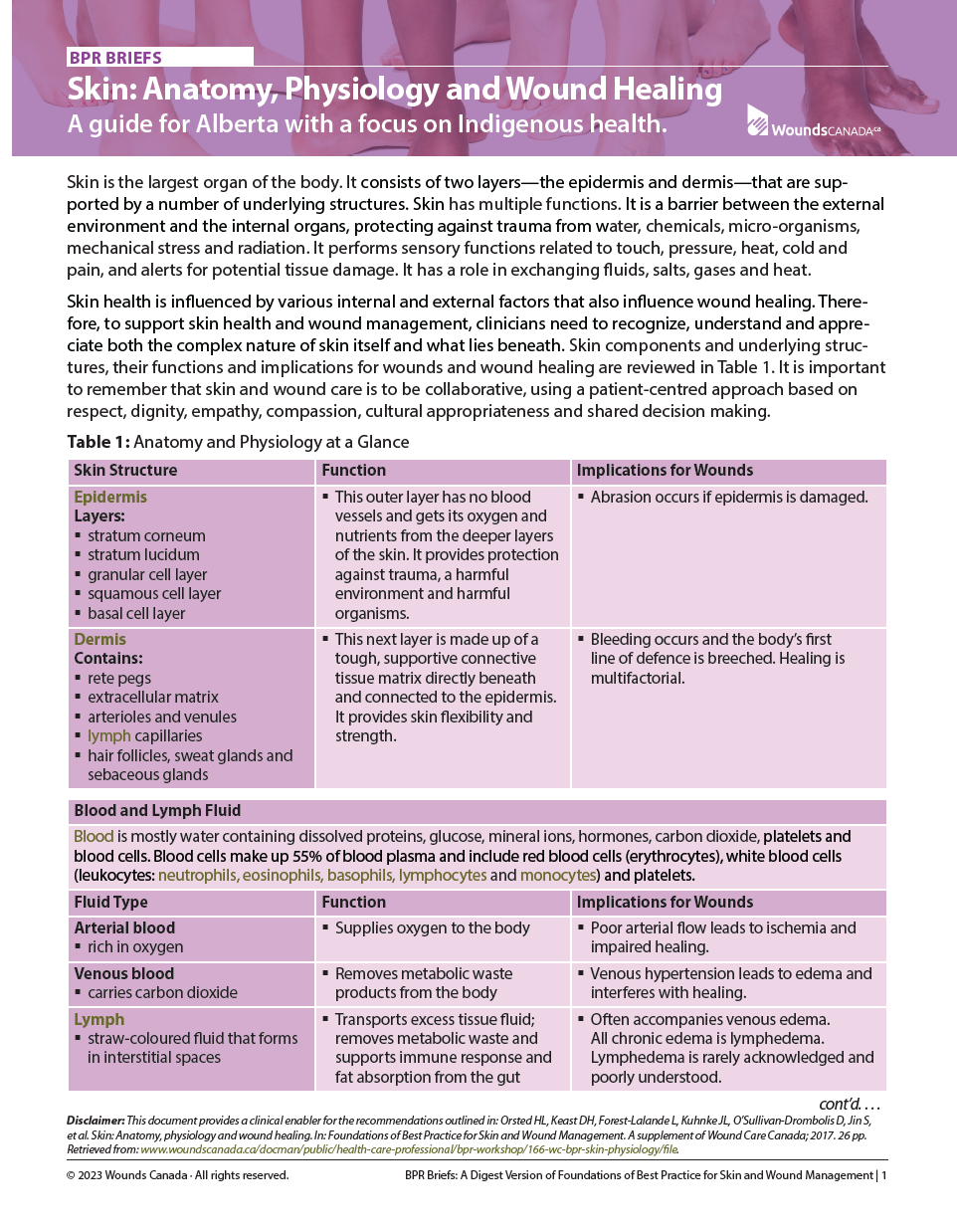 Skin Physiology