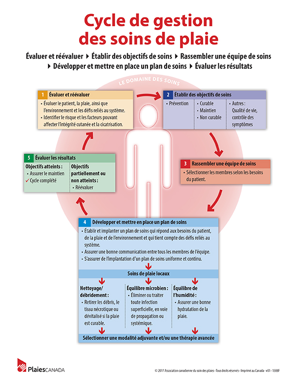 Le Cycle de gestion des soins de plaie