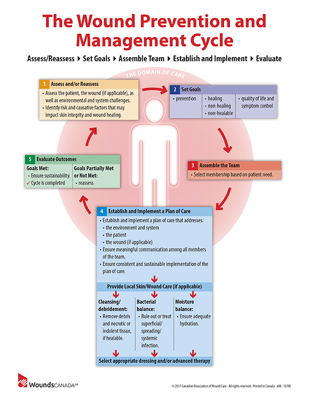 Wound Management Cycle